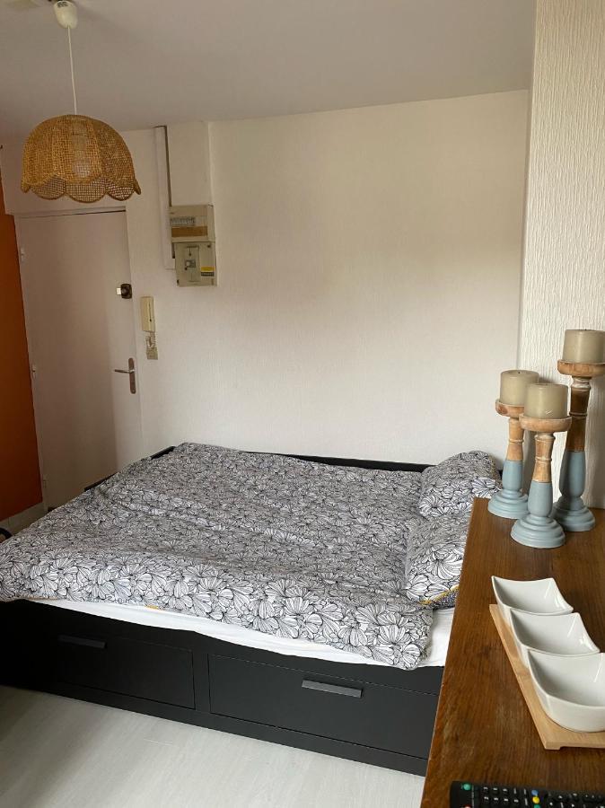 Le Nid - Studio Place Emile Zola / Parking Gratuit Dijon Dış mekan fotoğraf